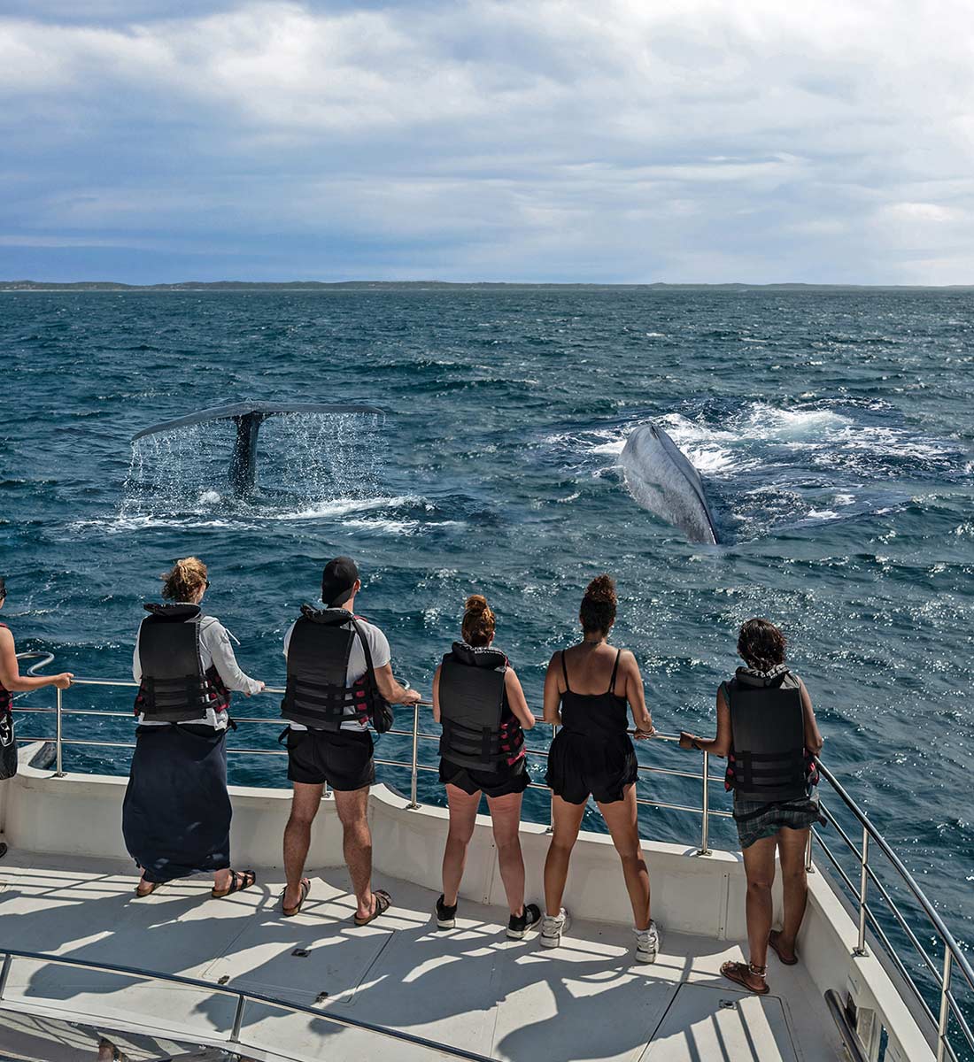 Mirissa Whale Watching