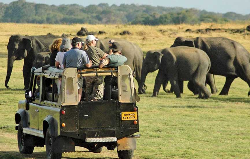 Yala Evening Safari